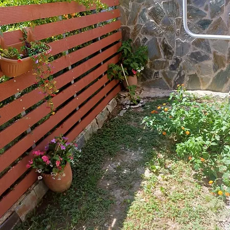 Nini's House 1 - 100m From Town Center