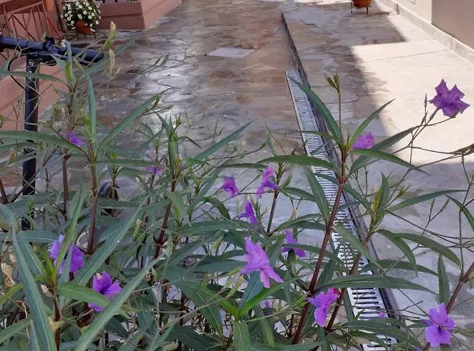 Apartament Nini's House 1 - 100m From Town Center Nydri (Lefkada)